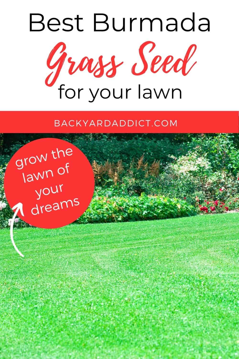 Best Bermuda Grass Seed: Reviews And Tips For 2022 | Backyard Addict