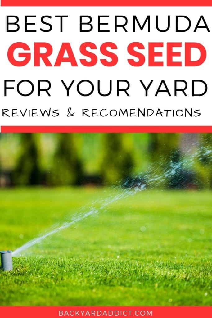 Best Bermuda Grass Seed: Reviews And Tips For 2022 | Backyard Addict