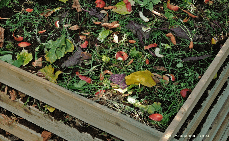 Mold in Compost: Should You Worry? How to Handle It. | Backyard Addict