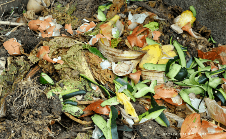 Mold in Compost: Should You Worry? How to Handle It. | Backyard Addict