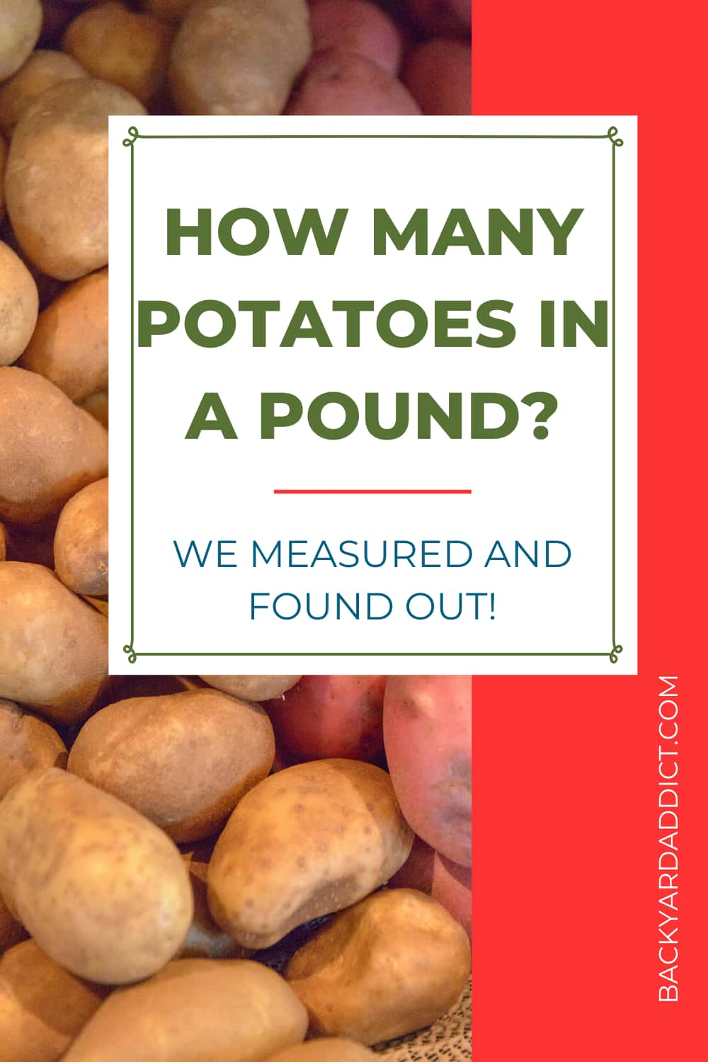 how-many-potatoes-in-a-pound-we-weighed-them-backyard-addict