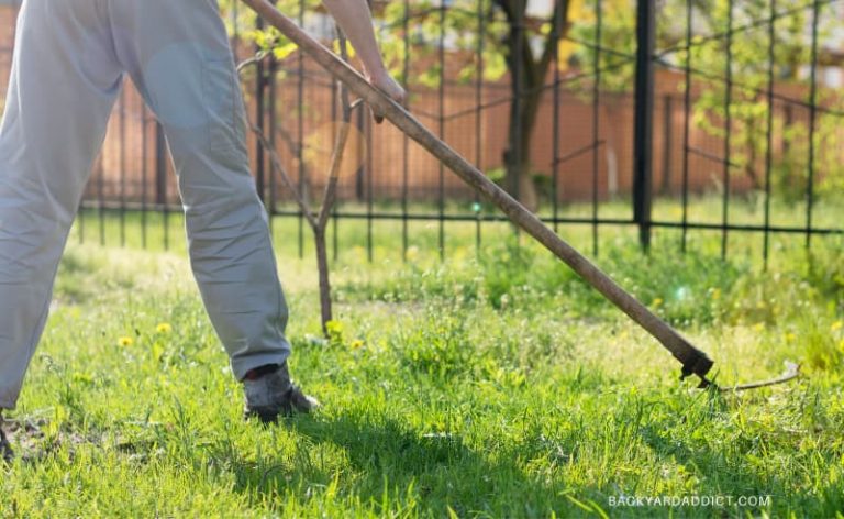 How to Cut Grass Without a Mower: 5 Creative Ideas | Backyard Addict