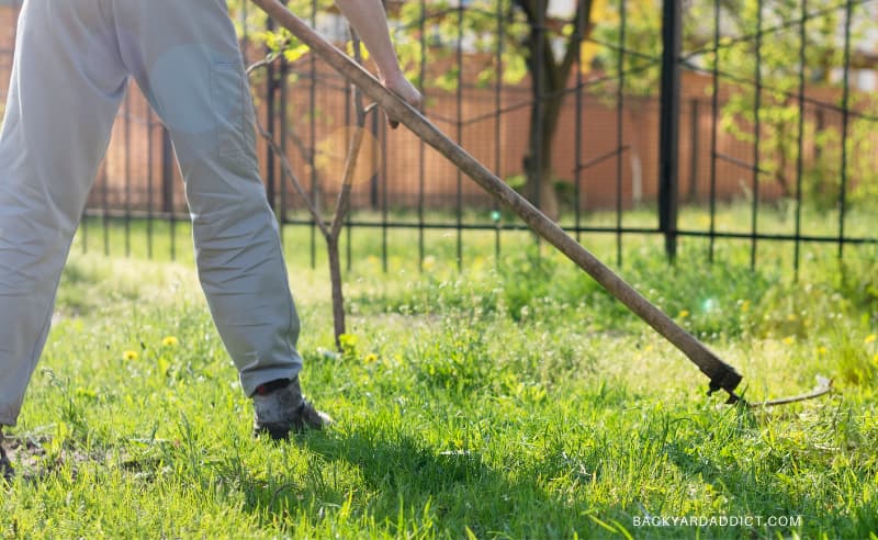 How To Cut Grass Without A Mower: 5 Creative Ideas 