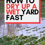 Pinterest Pin for How to Dry Up a Wet Yard Fast Post