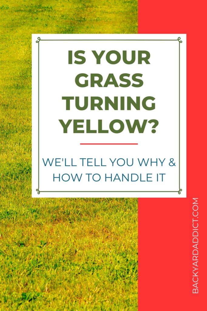 Grass Turning Yellow Find Out Why And How To Fix It Backyard Addict