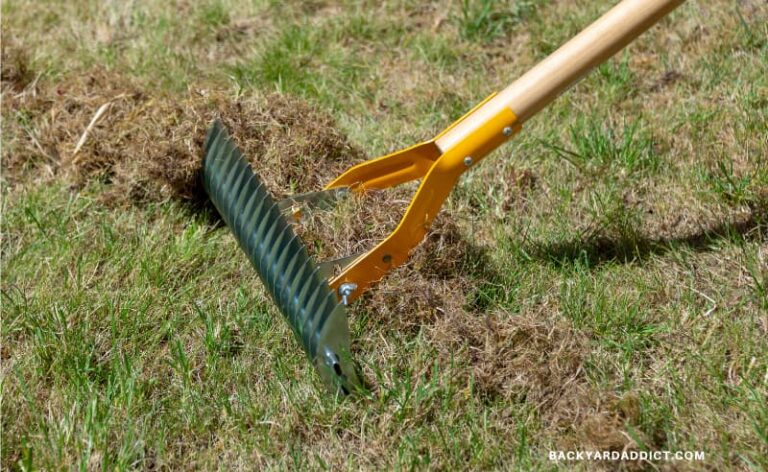 The Pros and Cons of Dethatching Lawn: Everything You Need to Know ...