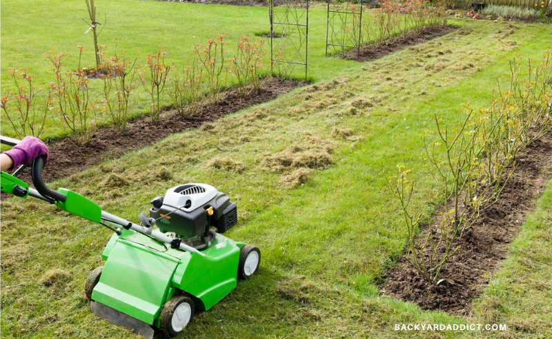 The Pros And Cons Of Dethatching Lawn Everything You Need To Know